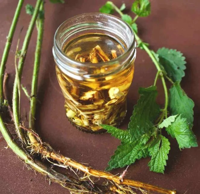 Екстракт кропиви — у складі Уровельмін форте Urovelmin Forte Україна